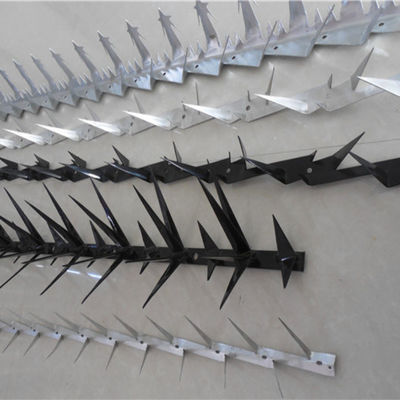 Galvanisiertes 1.2m Längen-Antiaufstiegs-Rasiermesser nagelt für Zaun Wall fest